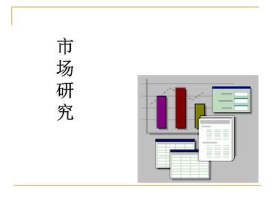 市場(chǎng)調(diào)查 洞察商業(yè)機(jī)遇的專業(yè)指南