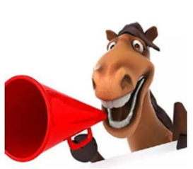 晴美互動(dòng)榮獲綿陽網(wǎng)站建設(shè)前十強(qiáng)，深耕互聯(lián)網(wǎng)接入服務(wù)領(lǐng)域